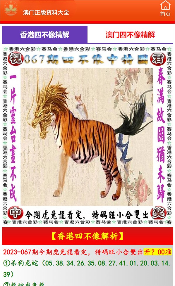 澳门未来蓝图展望