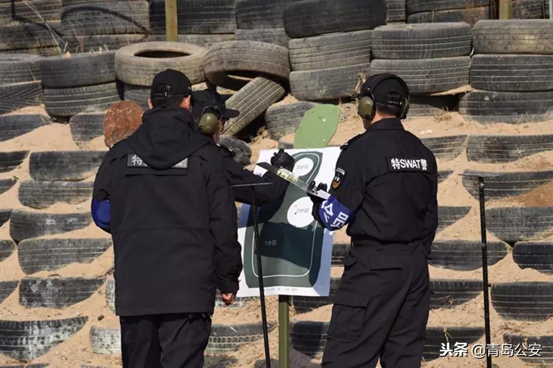 特警招录条件,选拔标准与要求,特警选拔标准与招录条件详解