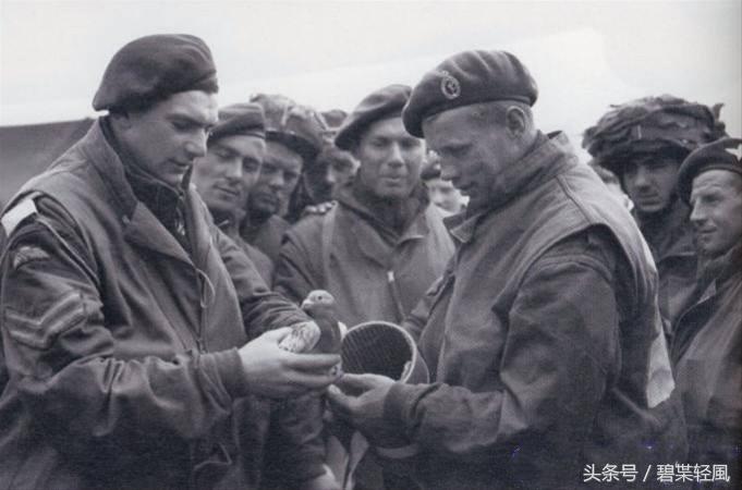 通信兵在战略支援部队中的角色与定位,通信兵在战略支援部队中的核心角色与定位