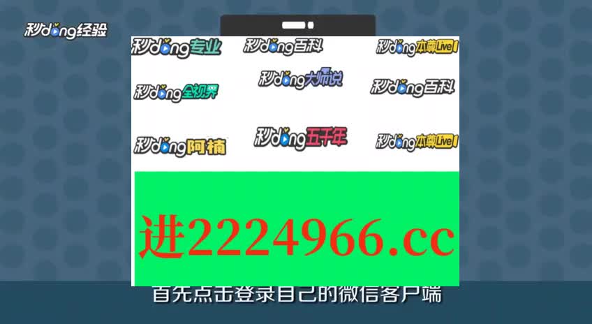 王中王一句玄机解特肖——探寻命运之轮的奥秘，探寻命运之轮的奥秘，王中王一语的玄机解特肖