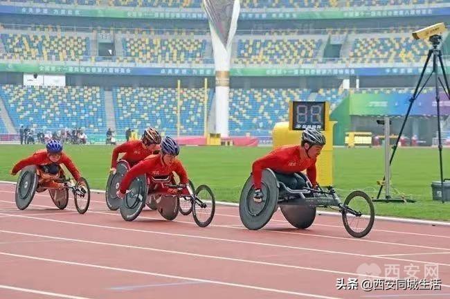 探索新澳门正版免费资本车，未来之路与机遇分析，澳门正版资本车未来之路，机遇分析与探索