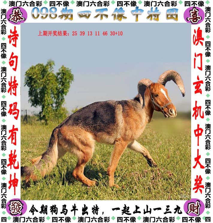 揭秘四不像王中王必出一肖APP的神秘面纱,揭秘四不像王中王必出一肖APP真相的神秘面纱