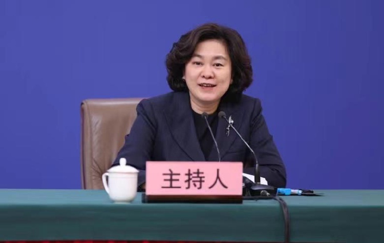 国家新闻发言人名单及其角色解析，国家新闻发言人名单与角色解析概览