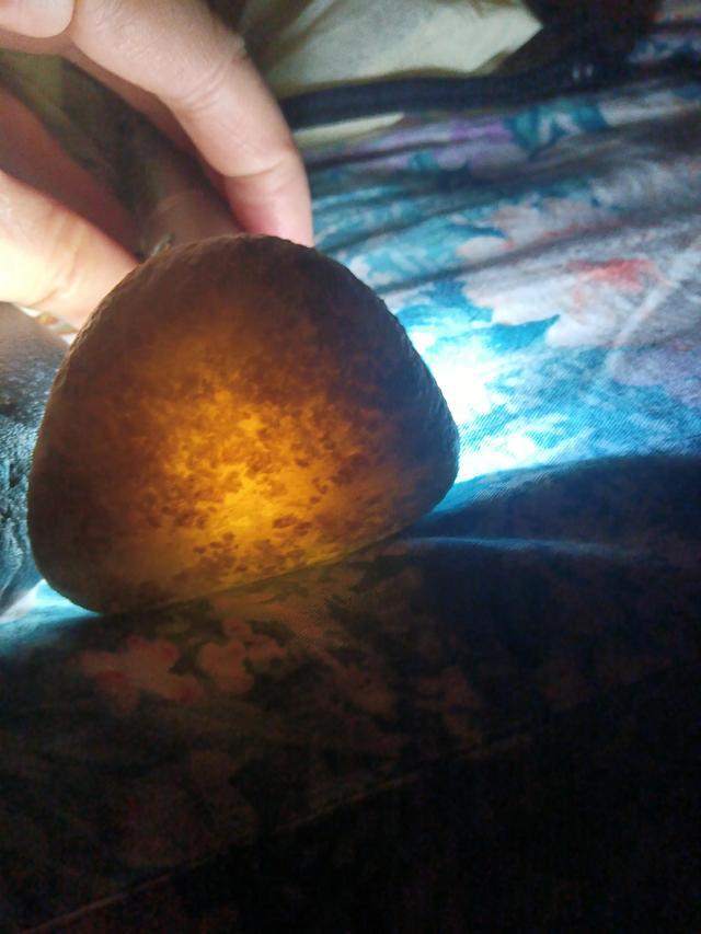 昆仑山捡玉石的视频，探寻神秘玉石之旅，昆仑山探寻神秘玉石之旅，捡玉石精彩瞬间记录