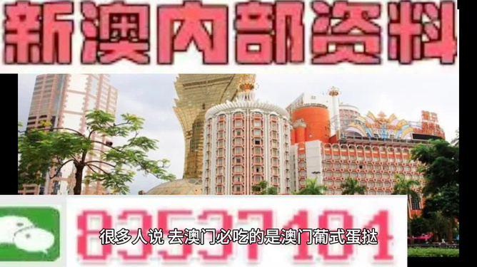 新澳门三中三码精准预测，揭秘背后的秘密与真相，揭秘新澳门三中三码精准预测的真相与秘密