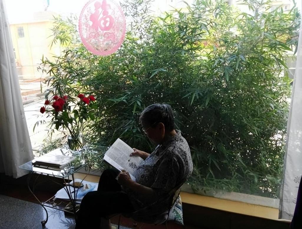 国际时事新闻摘抄大全，国际时事新闻概览