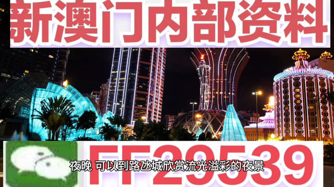 澳门今晚必开一肖，探索生肖运势与文化的魅力，澳门今晚生肖运势揭秘，探索生肖文化的独特魅力