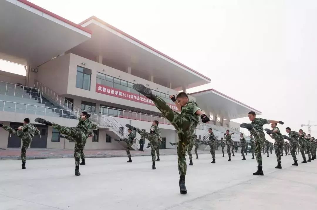 武警后勤学院入学攻略，如何顺利考进这所理想学府，武警后勤学院入学指南，顺利考进理想学府的攻略