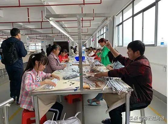 资料大全正版资料2025,引领知识获取新时代的指南,引领新时代的知识宝库,正版资料大全 2025指南