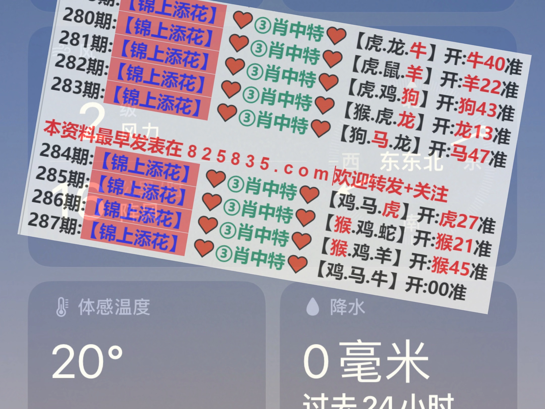 新澳2025年精准一肖一码，预测背后的故事与意义，新澳2025年精准预测一肖一码，背后的故事与深远意义