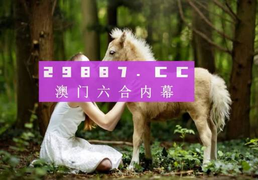 澳门开奖结果快速查询，探索最新最准确的网络资源，澳门开奖结果快速查询，最新网络资源探索
