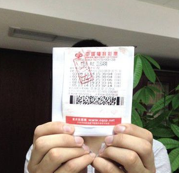 香港今晚开奖结果号码——彩票背后的故事与期待,彩票背后的故事与期待,香港今晚开奖结果揭晓