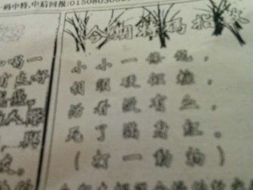 刘伯温与生肖之谜，揭秘传说中的神秘联系，刘伯温与生肖之谜，揭秘神秘传说联系