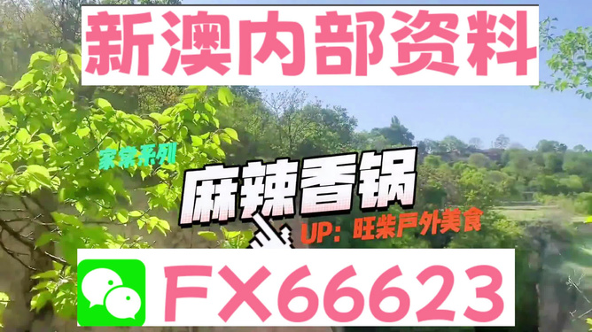新澳精准资料免费提供的力量与价值,新澳精准资料免费提供的力量与价值解析