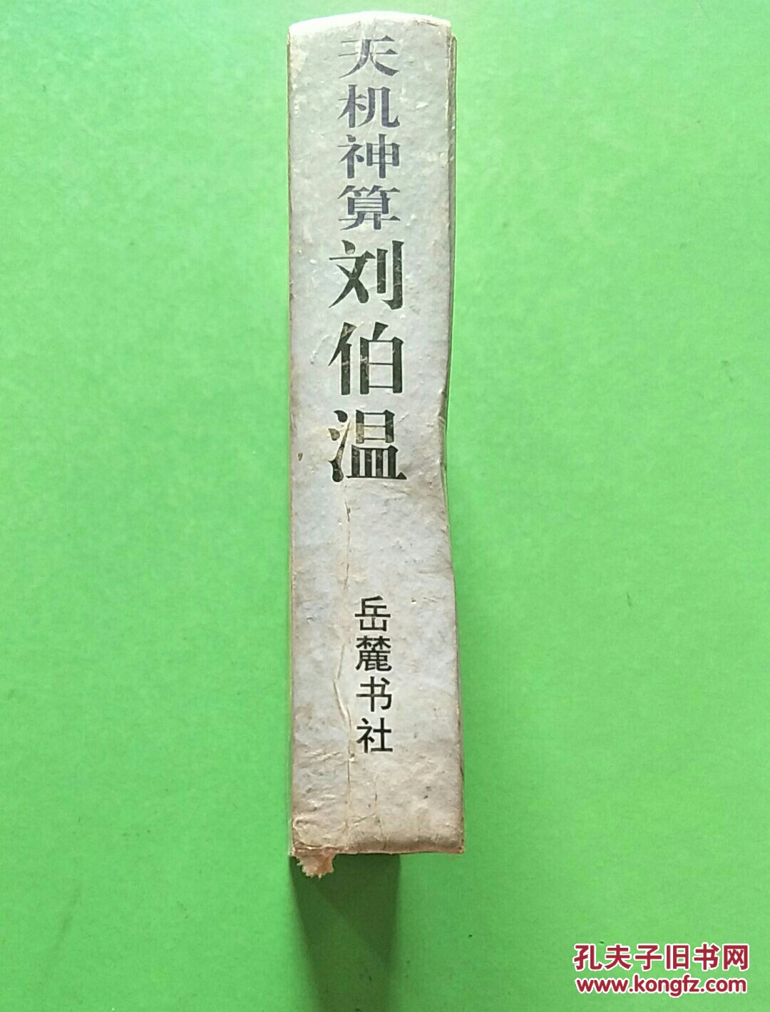 刘伯温期期精准预测，揭秘生肖特码之谜，刘伯温精准预测揭秘生肖特码奥秘