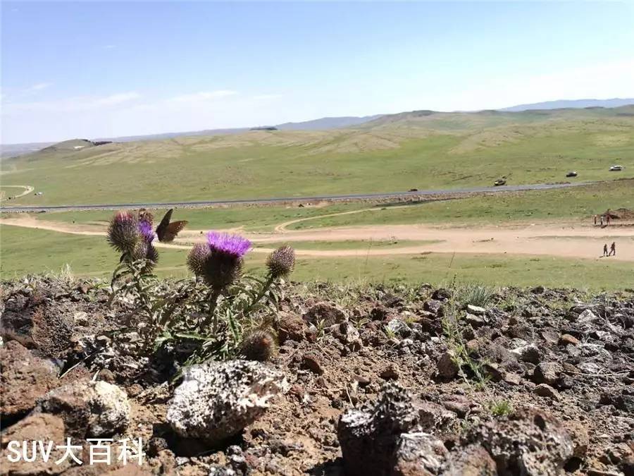 朱日和,旅游胜地还是军事禁区?能否去旅游?,朱日和,旅游胜地还是军事禁区?探访旅游可行性解析。