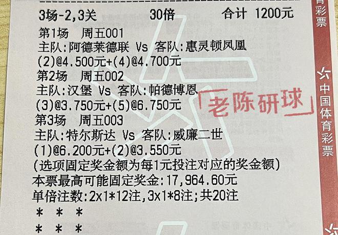 澳门六开奖结果特马师——探索与解析，澳门六开奖结果特马师解析与探索