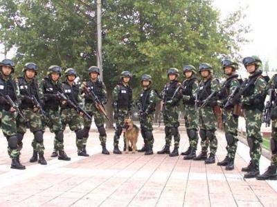 中国人民武装警察部队特种警察学院所在地及其重要性，中国人民武装警察部队特种警察学院，所在地与重要性概述