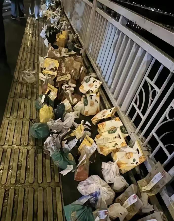 胖猫跳江事件最新消息，胖猫跳江事件最新进展报道