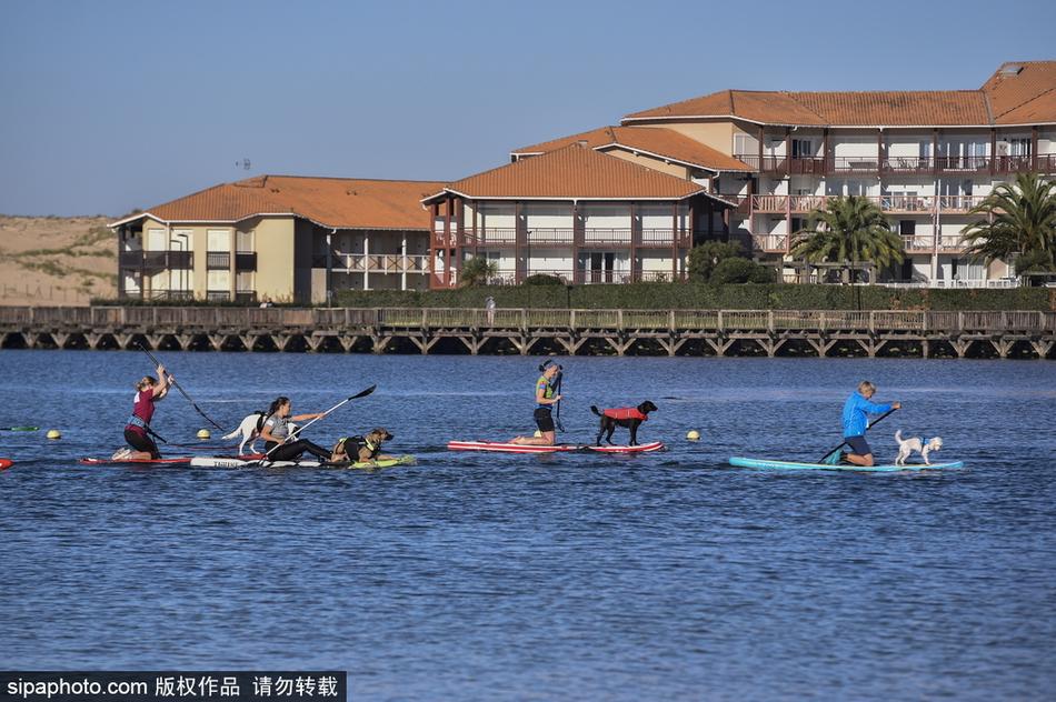 澳门天天开马结果出来的探索与解析,澳门天天开马结果解析与探索