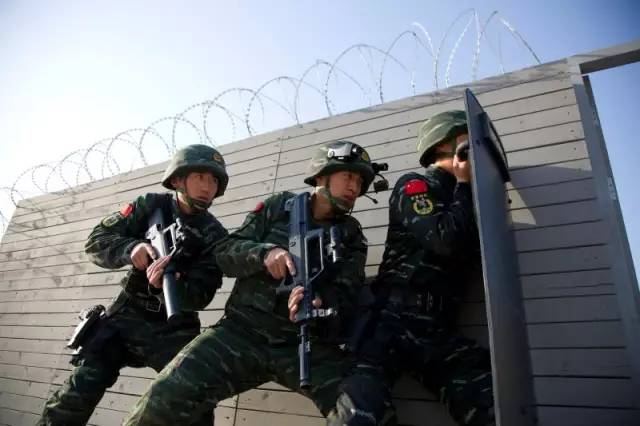中国人民武装警察部队特种警察学院研究生的培养与发展，中国人民武装警察部队特种警察学院研究生培养与发展概览