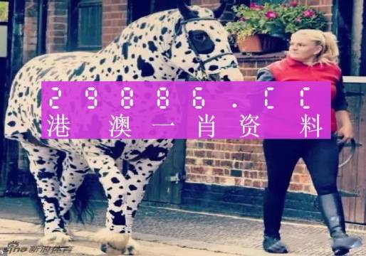 王中王一肖一特免费资料深度解析，王中王一肖一特免费资料深度解读