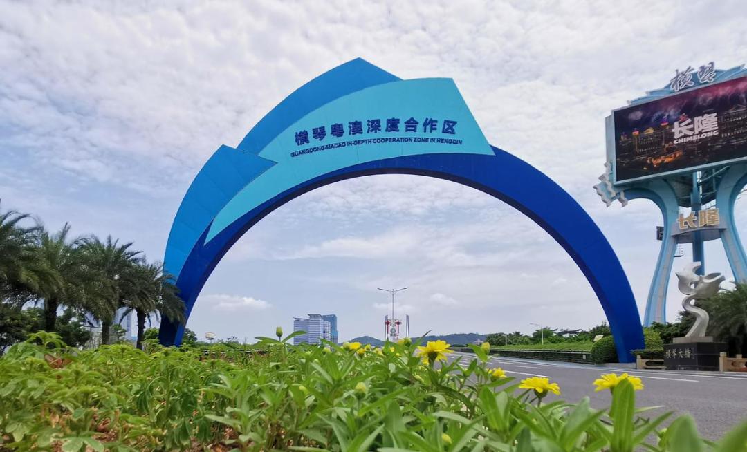 澳门挂牌网，探索与解析，澳门挂牌网，深度探索与解析