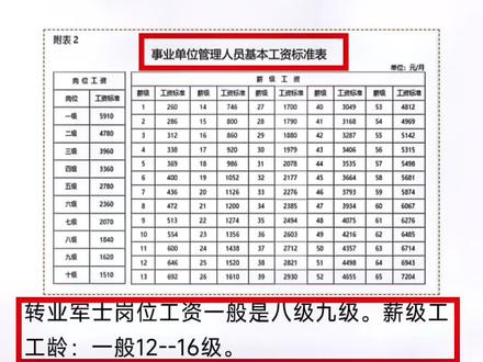八一勋章与工资级别，深入解析与探讨，八一勋章与工资级别，深度解读与探讨