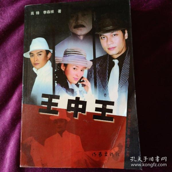王中王资料解析 第2页