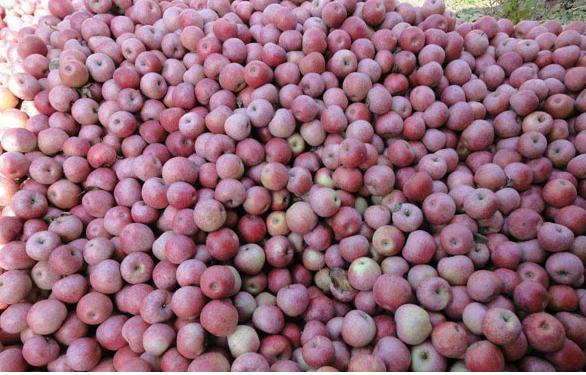 迈向未来的资料宝库,2025全年资料免费大全,迈向未来的资料宝库,2025全年资料免费大全概览