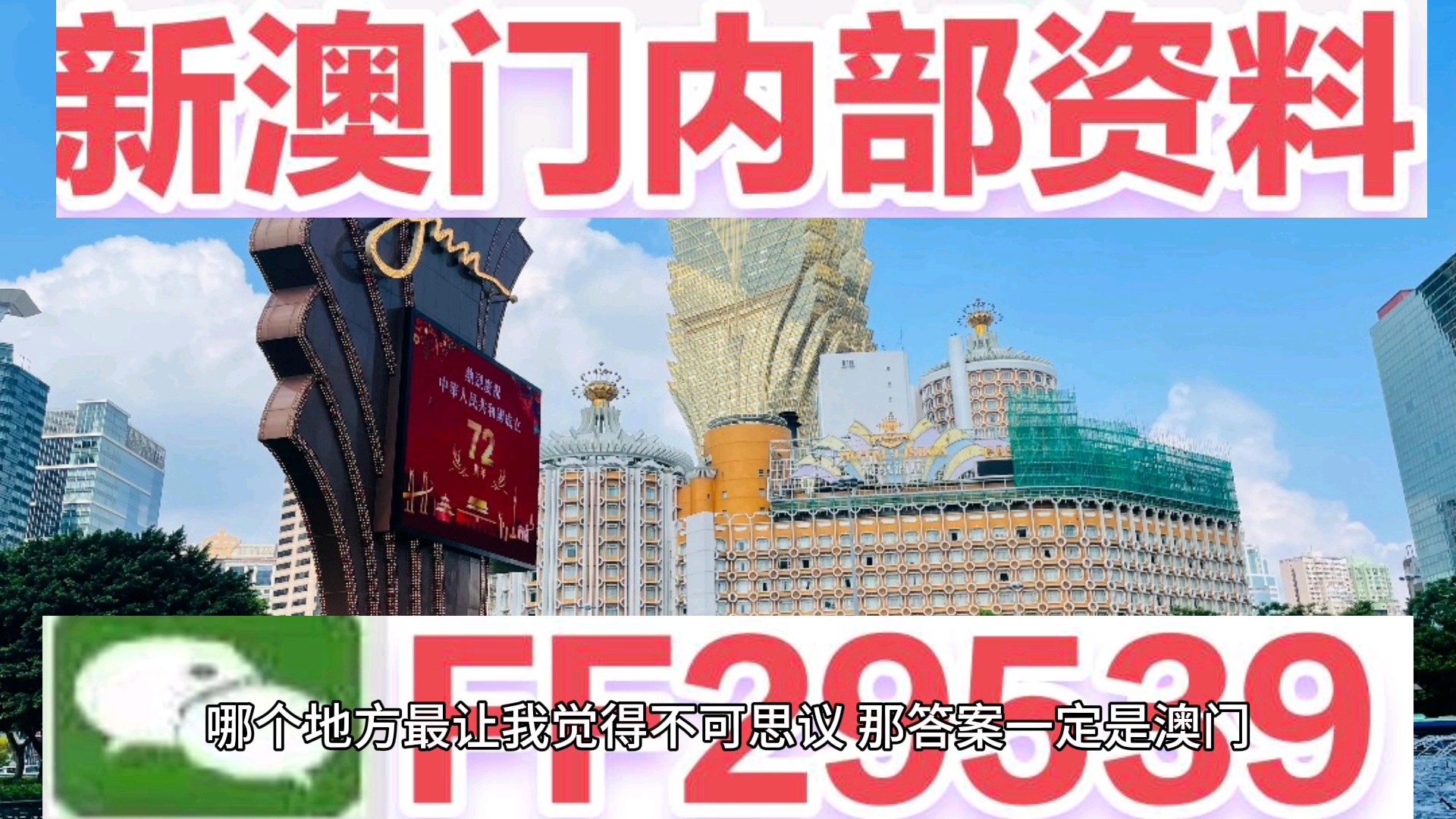 新奥门一肖一马必中的奥秘与探索，新奥门一肖一马必中的奥秘揭秘与探索