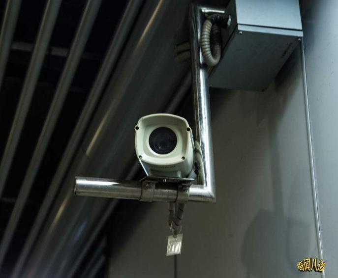 新澳一码中的奥秘与机遇，新澳一码，奥秘与机遇揭秘