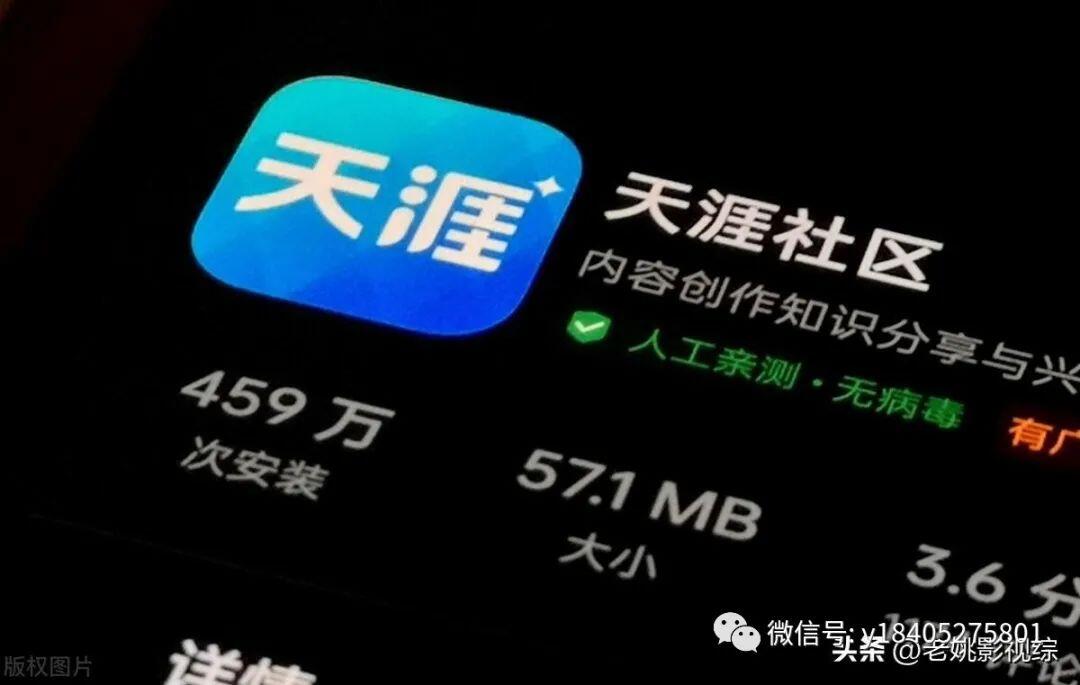 天涯论坛，网络时代的言论高地，天涯论坛，网络时代的言论聚集地