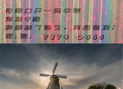 王中王三肖要出一期，深度解析与预测，王中王三肖深度解析与预测一期