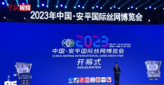 国际观察与旗扬网，连接全球视野的桥梁，国际观察与旗扬网，全球视野的桥梁