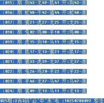 一肖中码，探索与解析，一肖中码，深度探索与解析