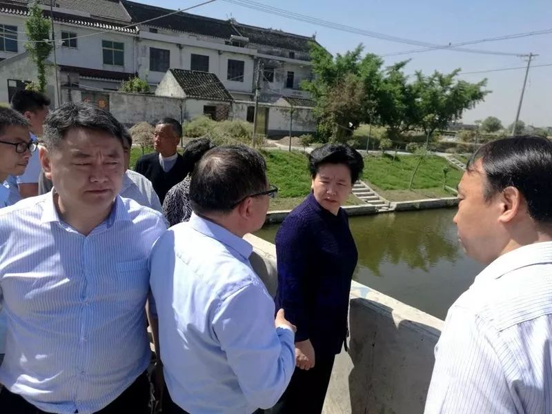 泰州黄桥今天特大新闻，一项历史与现代的完美结合，泰州黄桥今日历史与现代完美融合，重大新闻发布