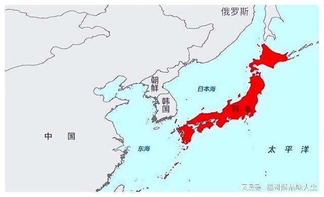 日本与中国，探寻优势之所在，中日优势探寻，中日两国之比较与探索