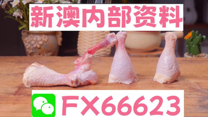 澳门一码中精准一码免费中特论坛，探索与解析，澳门一码精准预测解析论坛