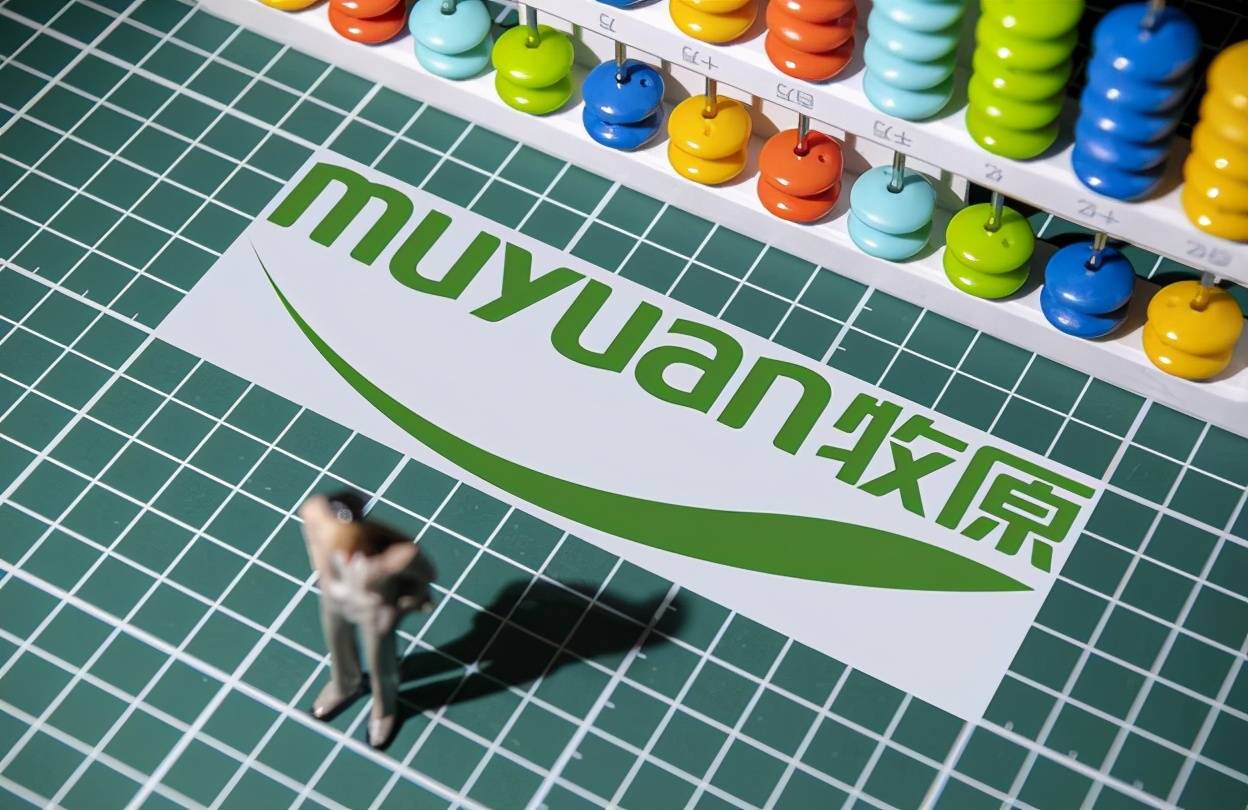 王中王319期指一生肖——探寻生肖文化中的奥秘与魅力,探寻生肖文化中的奥秘与魅力——王中王319期指一生肖