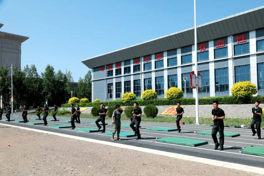 内蒙古训练基地的名称及其重要性，内蒙古训练基地名称及其战略重要性揭秘