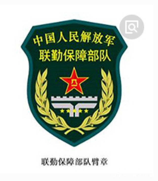 武警部队新式臂章，揭示荣誉与使命的象征，武警部队新式臂章，荣誉与使命的象征标识