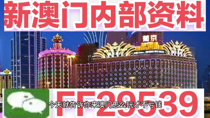 新澳2025今晚开奖结果,期待与惊喜交织的时刻,新澳2025今晚开奖结果,期待与惊喜的交汇