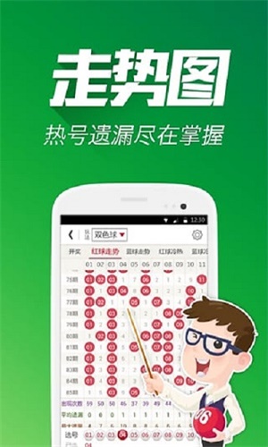 王中王平特一肖四码图的奥秘与探索，王中王平特一肖四码图的神秘奥秘与探索之旅