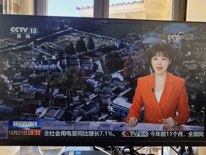 中央新闻直播今天在线观看回放视频，实时掌握资讯的新途径，中央新闻直播在线观看回放与实时资讯掌握的新途径