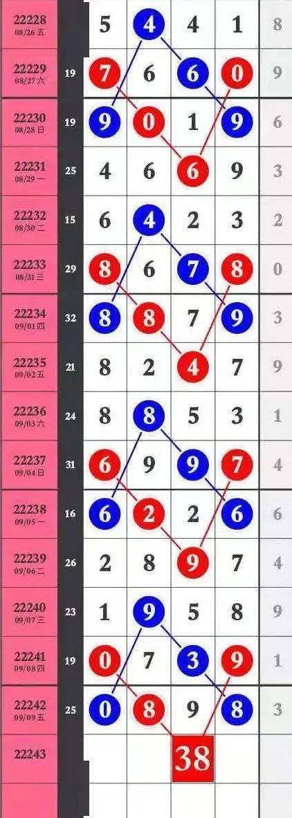 王中王特马中心一肖囹，探索与解析，王中王特马中心一肖囹，深度探索与解析