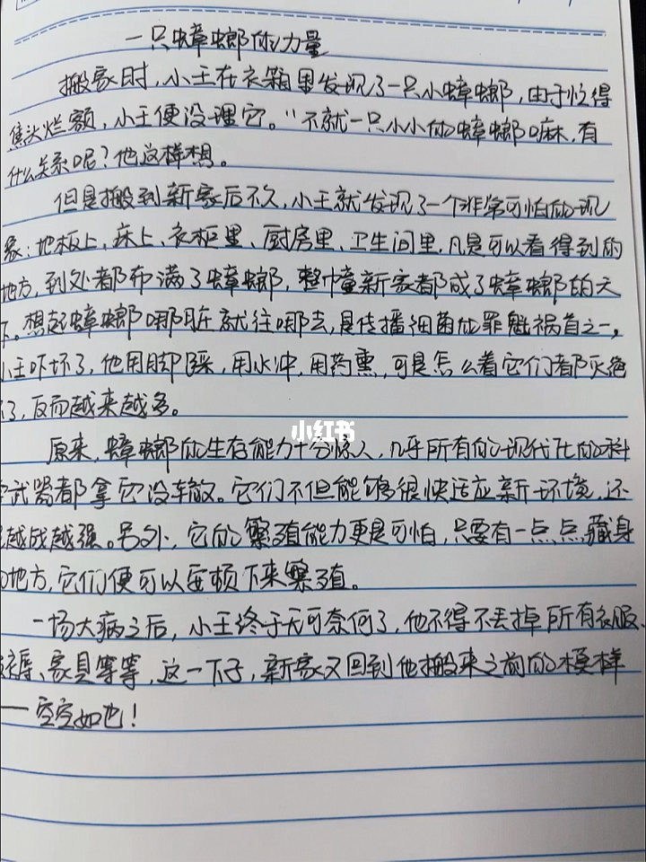 小故事中的大道——摘抄一段人生智慧之旅，小故事中的智慧之旅，人生智慧的点滴摘抄