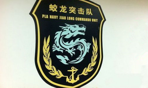 蛟龙突击队体能服，战士的力量与荣耀的象征，蛟龙突击队体能服，战士力量与荣耀的标志性装备