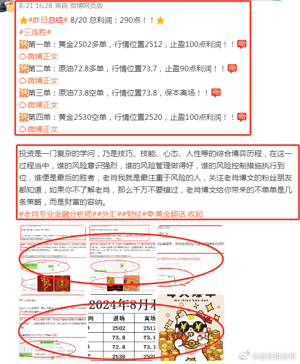 香港王中王最准的一肖——揭秘与探讨，揭秘香港王中王最准的一肖预测方法