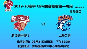 王中王06期指一生肖——探寻背后的神秘与魅力，王中王06期指一生肖，神秘魅力背后的探寻